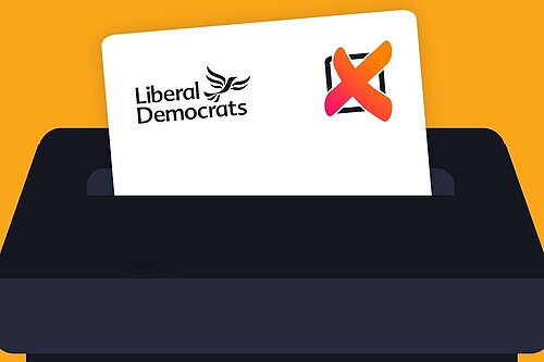 imagfe of voting for lib dems