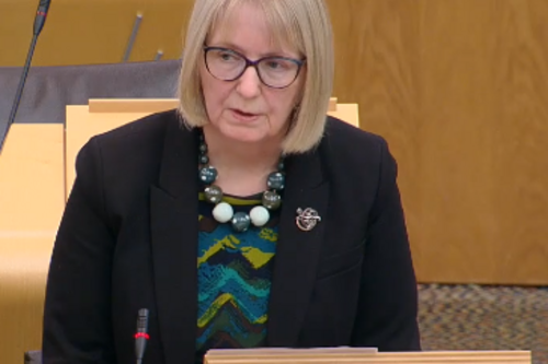 Beatrice Wishart speaking in the Chamber