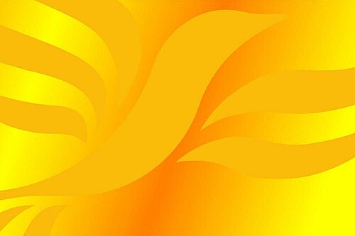 Lib Dem logo