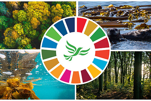 Collage with trees, otters and seaweed with the United Nations Sustainable Development Goals Wheel and a green libby 