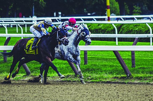 Two horses in a race, each ridden by a jockey.