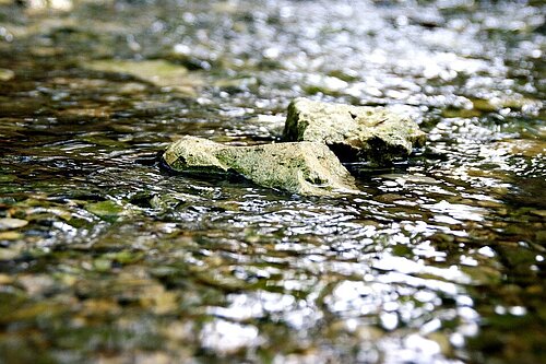 clean flowing river