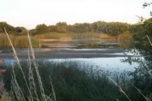 Runway Pond - Special Area of Conservation, Lydd Airport